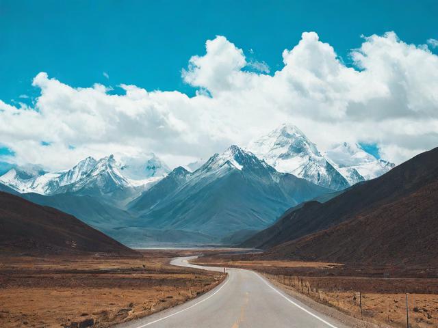 《往事随风,清醒独行:爱逝之后的人生旅程》